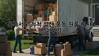 혼자서도 척척! 일산 풍동 원룸 이사 용달 후기