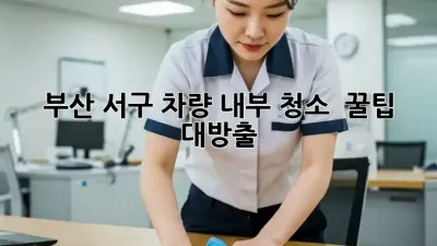 부산 서구 차량 내부 청소 ✨ 꿀팁 대방출! 🚗💨