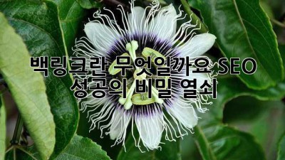 백링크란 무엇일까요? SEO 성공의 비밀 열쇠