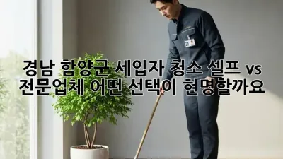 경남 함양군 세입자 청소: 셀프 vs 전문업체, 어떤 선택이 현명할까요?
